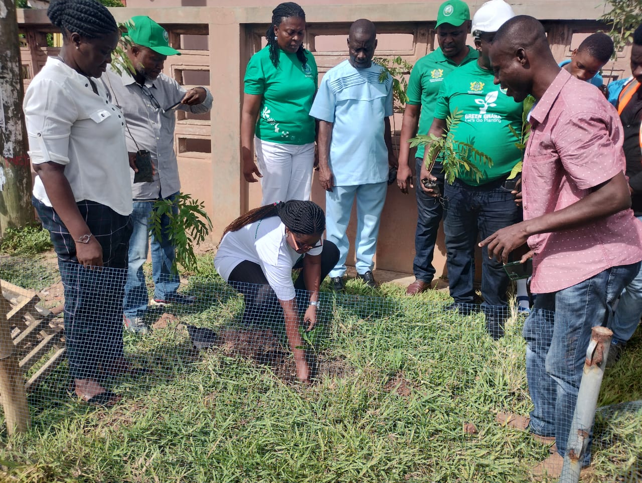 ABLEKUMA NORTH MUNICIPAL ASSEMBLY PLANT TREES TO COMMEMORATE GREEN GHANA